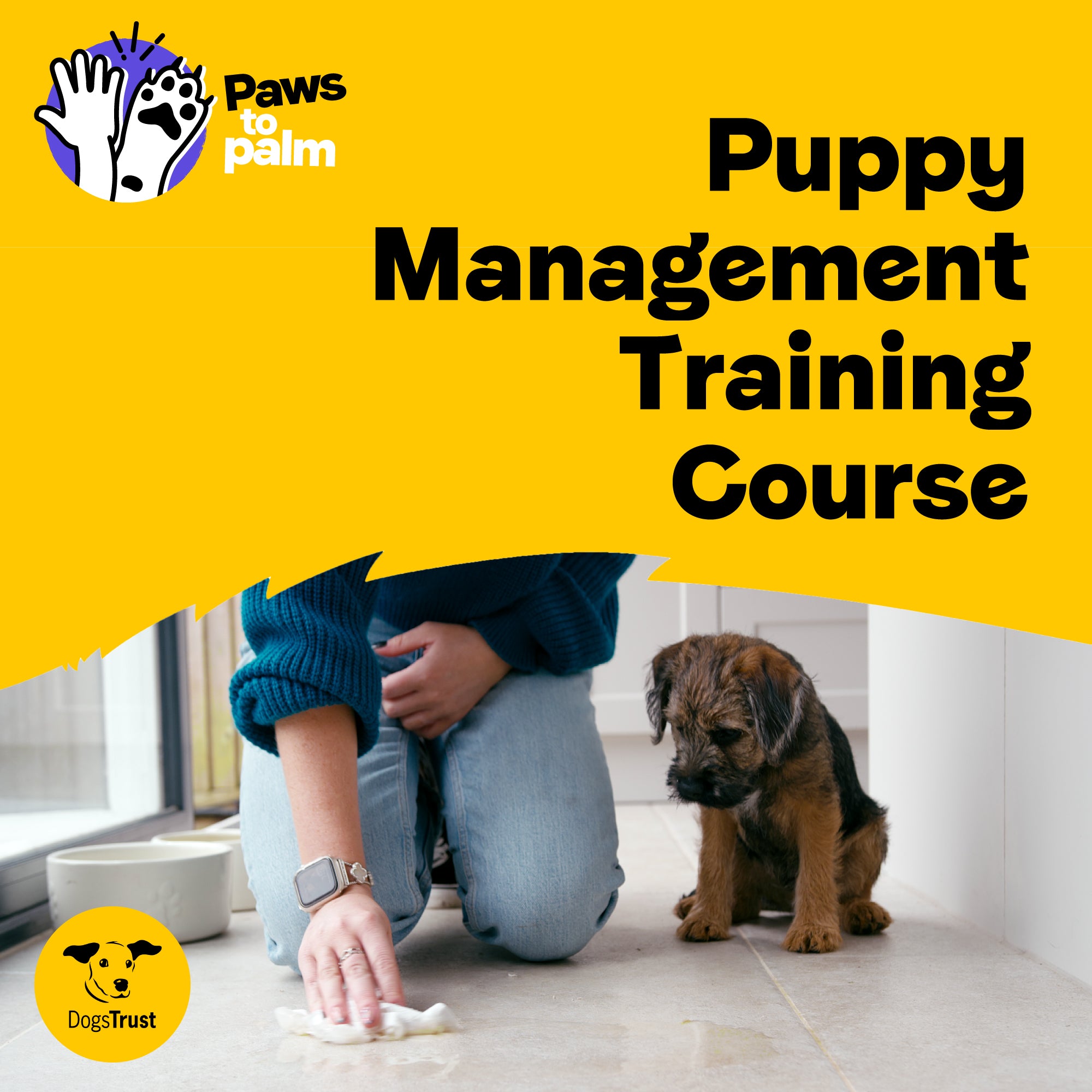 Dogs Trust Dog Training Sessions Puppy Management Training