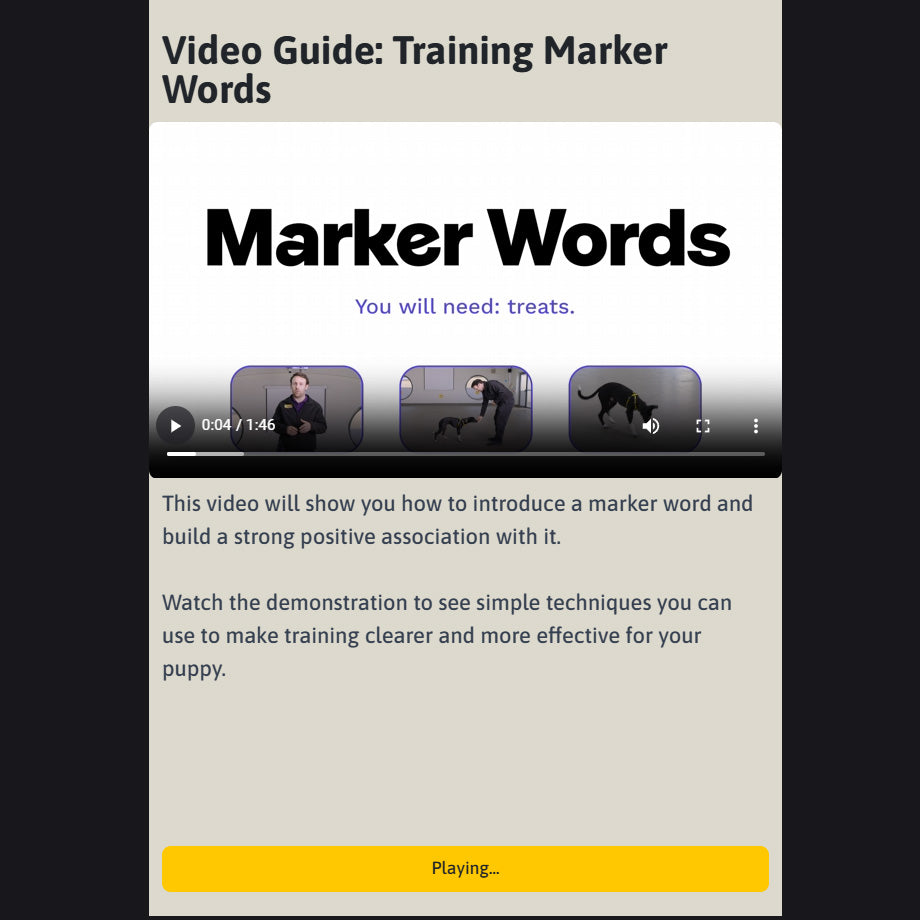 Puppy Training Online Course