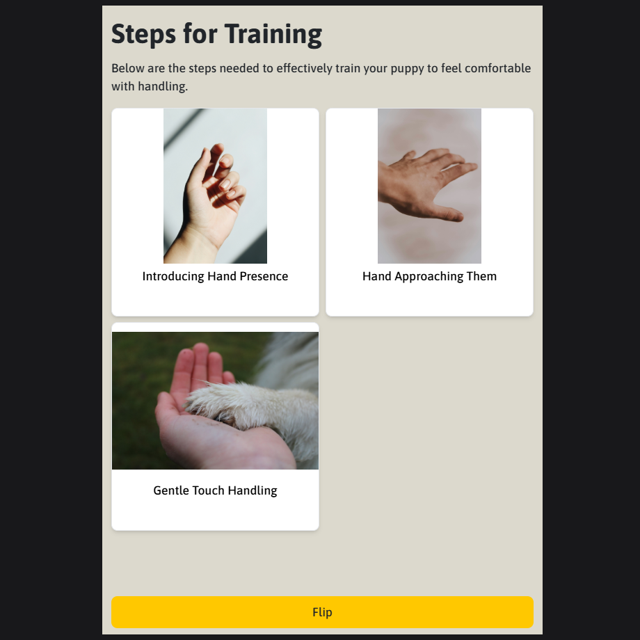 Puppy Training Online Course