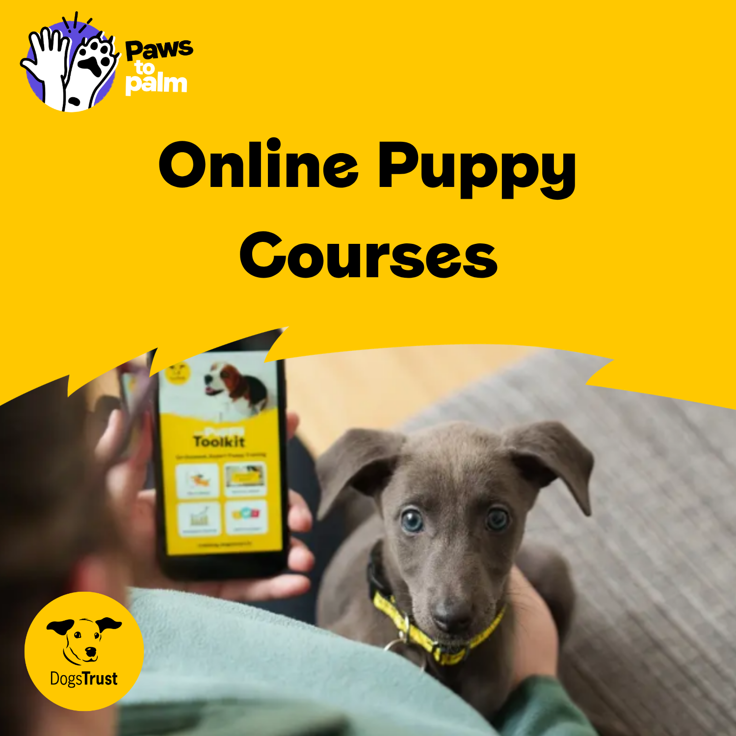 Puppy Toolkit