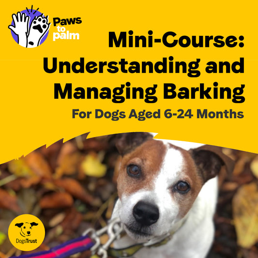 Mini-Course: Understanding and Managing Barking, For Dogs aged 6-24 Months