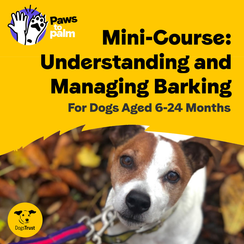 Mini-Course: Understanding and Managing Barking, For Dogs aged 6-24 Months