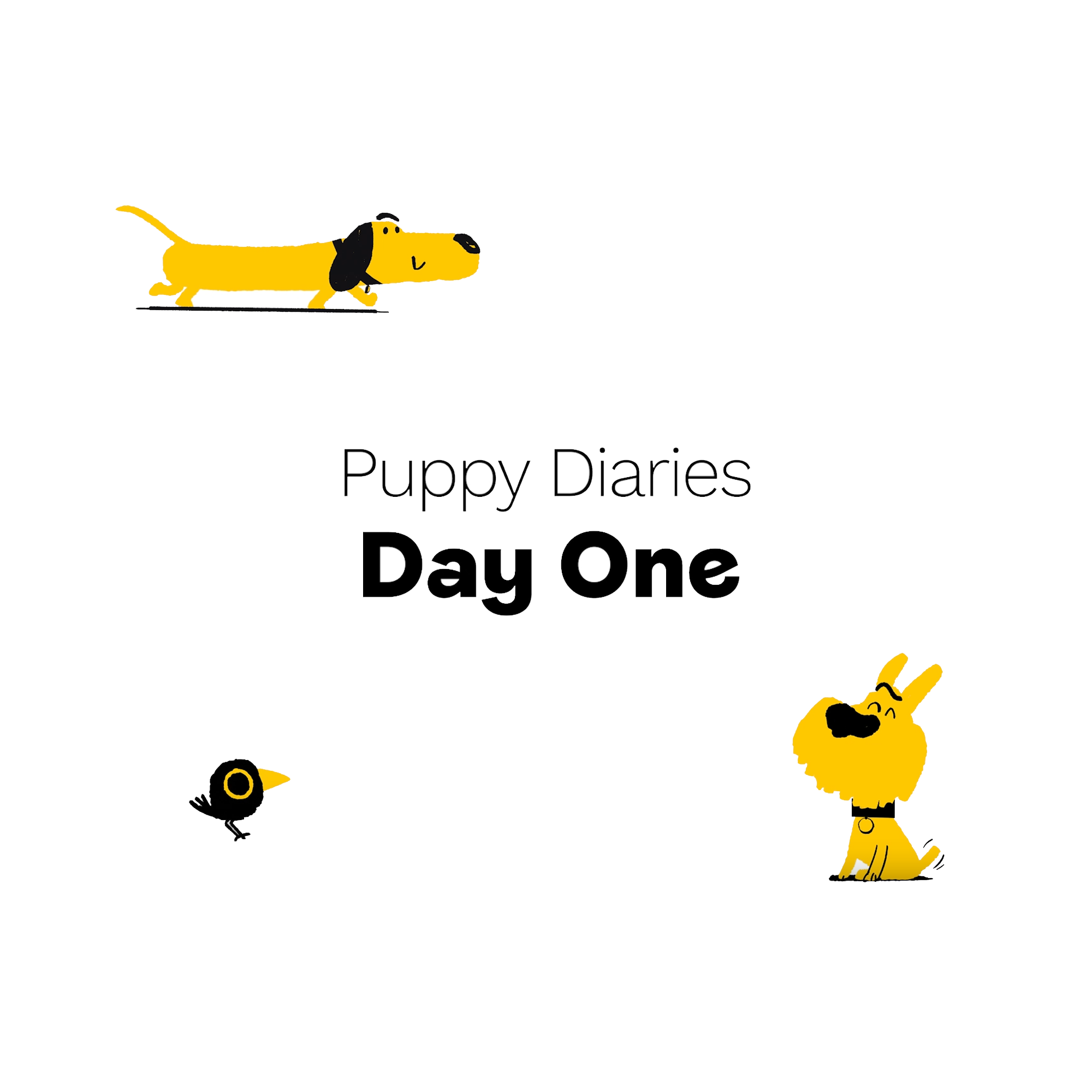 Dogs Trust Puppy Training Reviews Dogs Trust Puppy Training Reviews