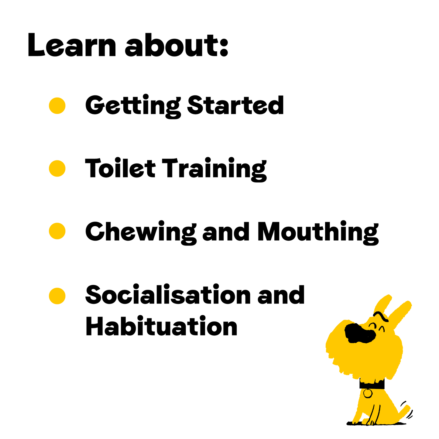 Puppy Management Training Course