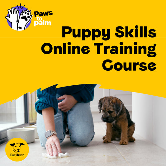 Puppy Skills Online Training Course