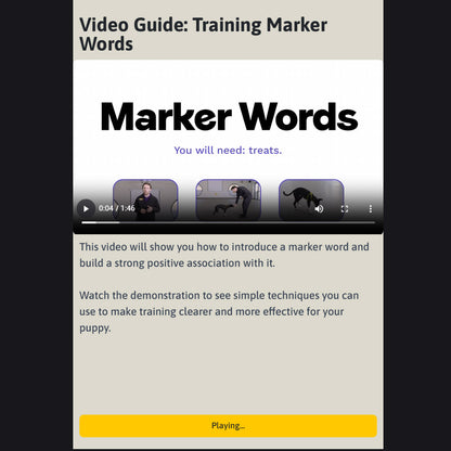 Puppy Training Online Course