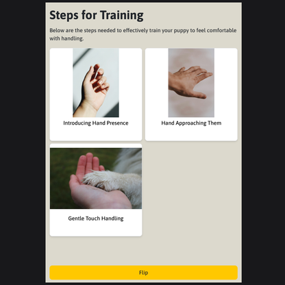 Puppy Training Online Course