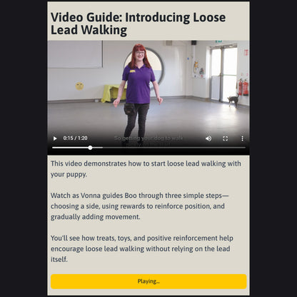 Puppy Training Online Course