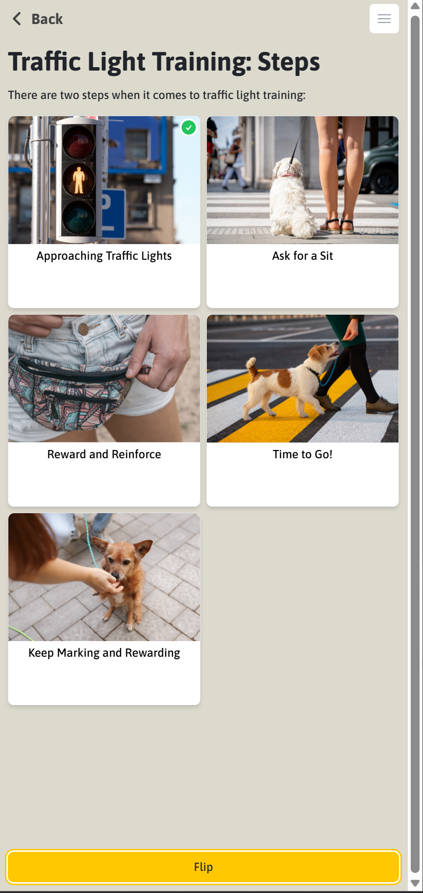 Mini-Course: How-to Teach Sit for Calm Behaviours, For Dogs Aged 2+ Years