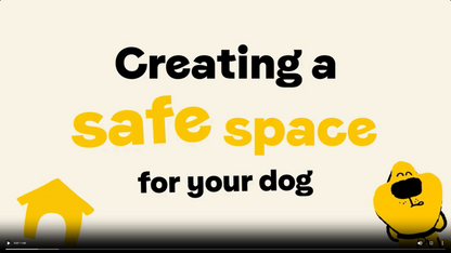 Mini-Course: How-to Settle Your Dog and Build Calm Independence, For Dogs Aged 2+ Years