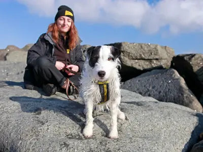 Mini-Course: How-to Teach Sit for Calm Behaviours, For Dogs Aged 2+ Years