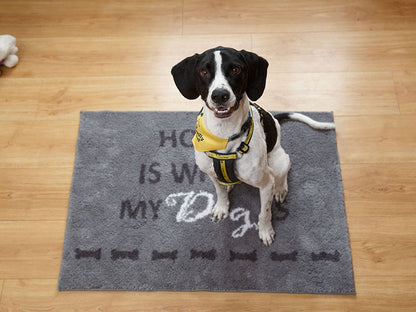 Mini-Course: How-to Settle Your Dog and Build Calm Independence, For Dogs Aged 2+ Years
