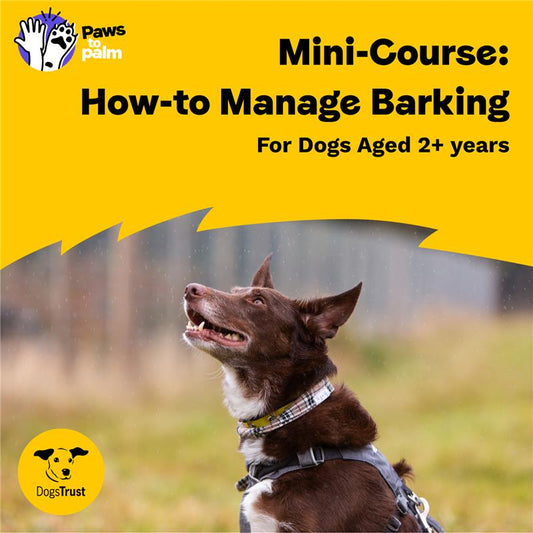 Mini-Course: How-to Manage Barking, For Dogs Aged 2+ Years